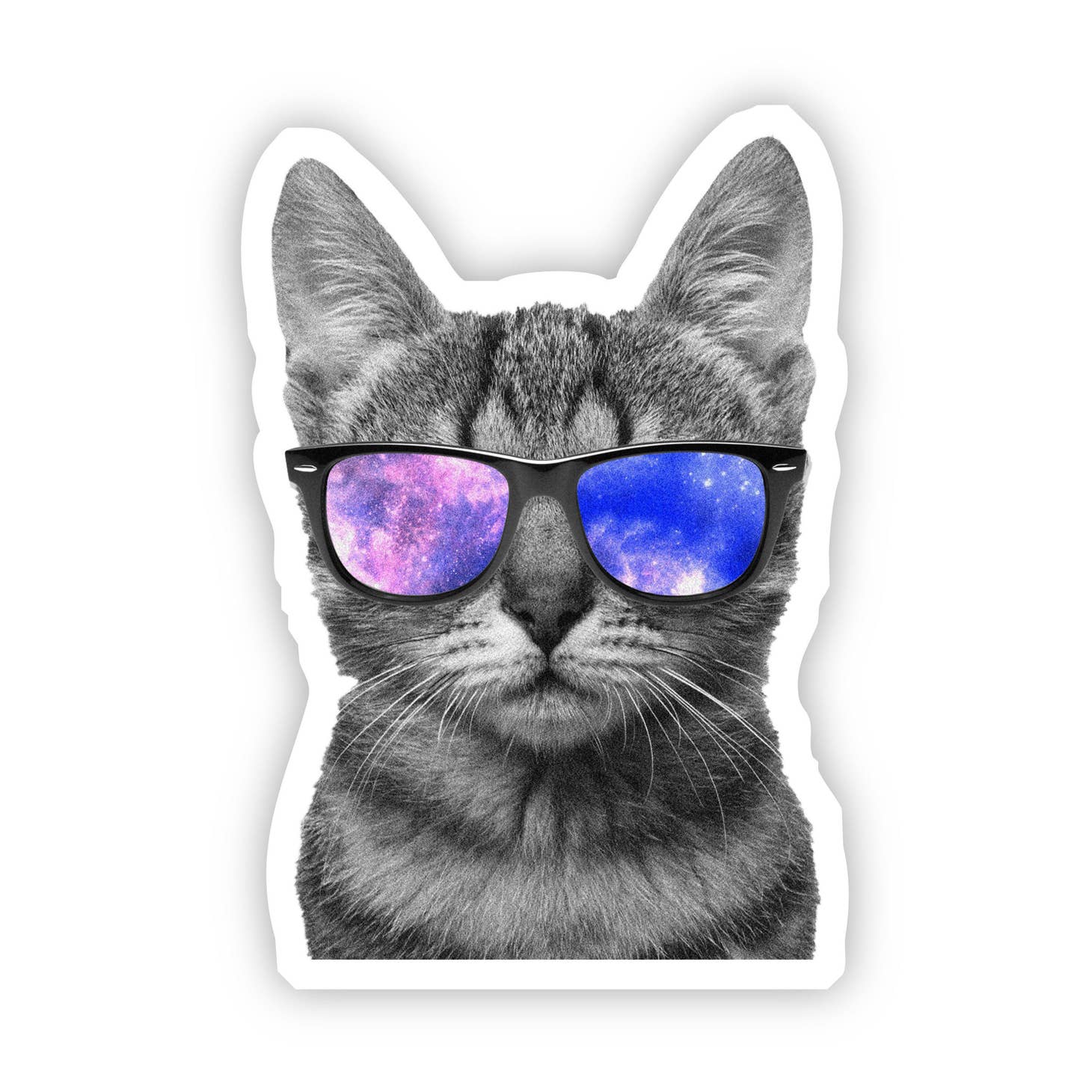 Sunglasses Cats Stickers - Cats - Sticker