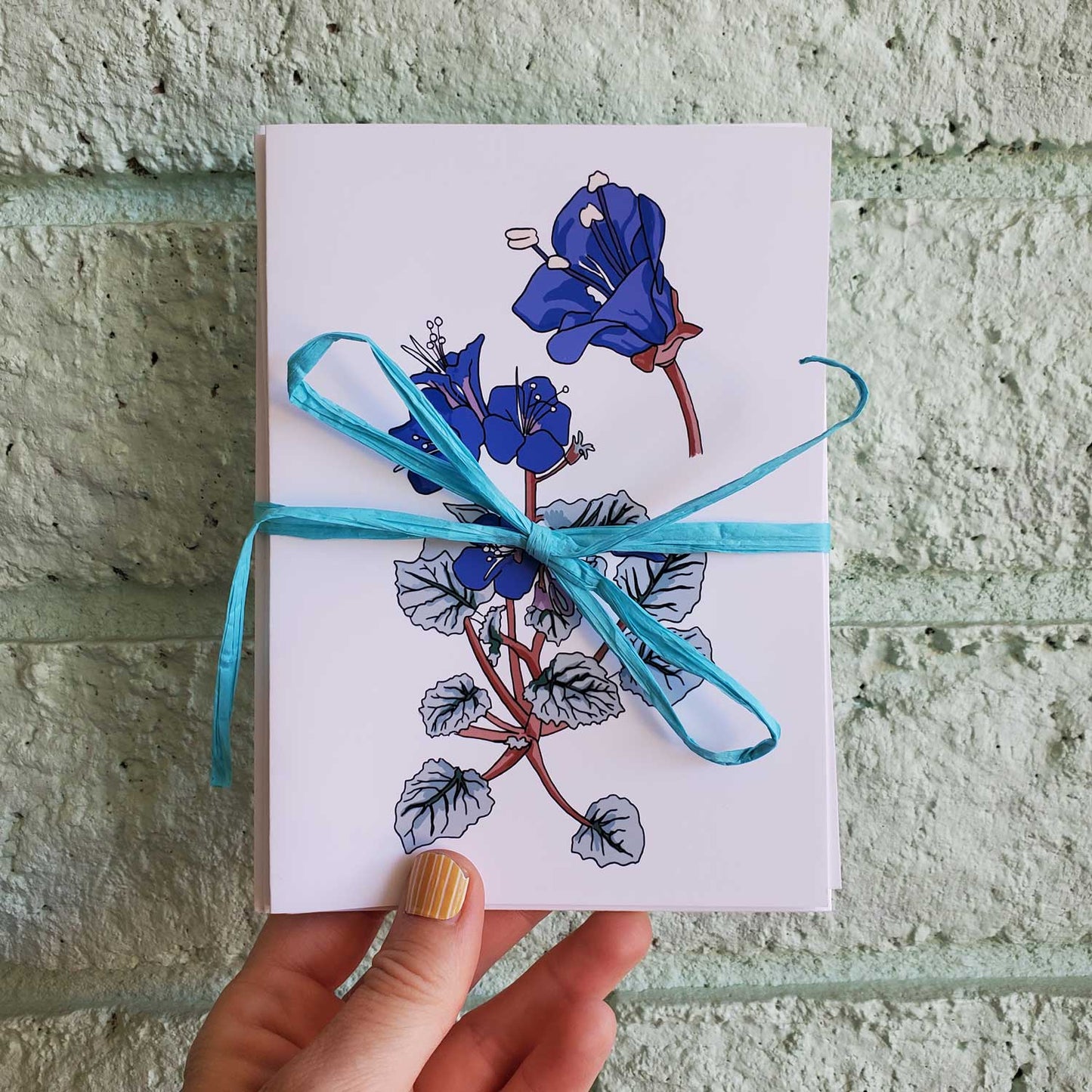 Desert Flower Card Pack