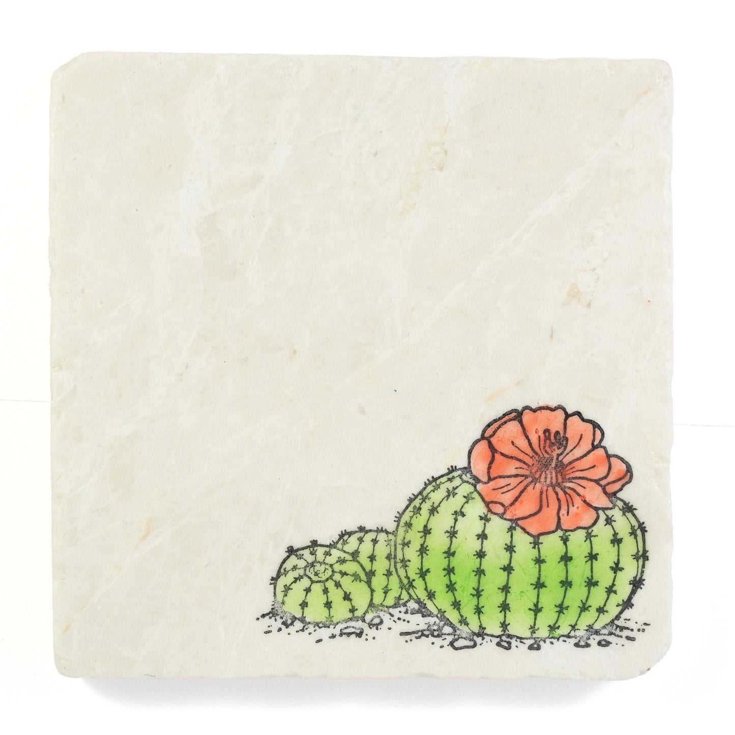 Barrel Cactus Marble Coaster