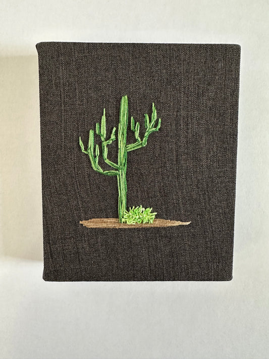 Saguaro and Plant - Small