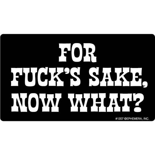 For Fuck's Sake, Now What? Sticker