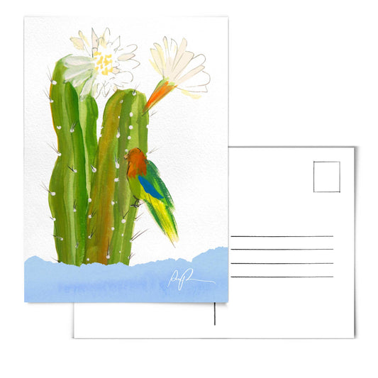 Lingering Lovebird Postcard