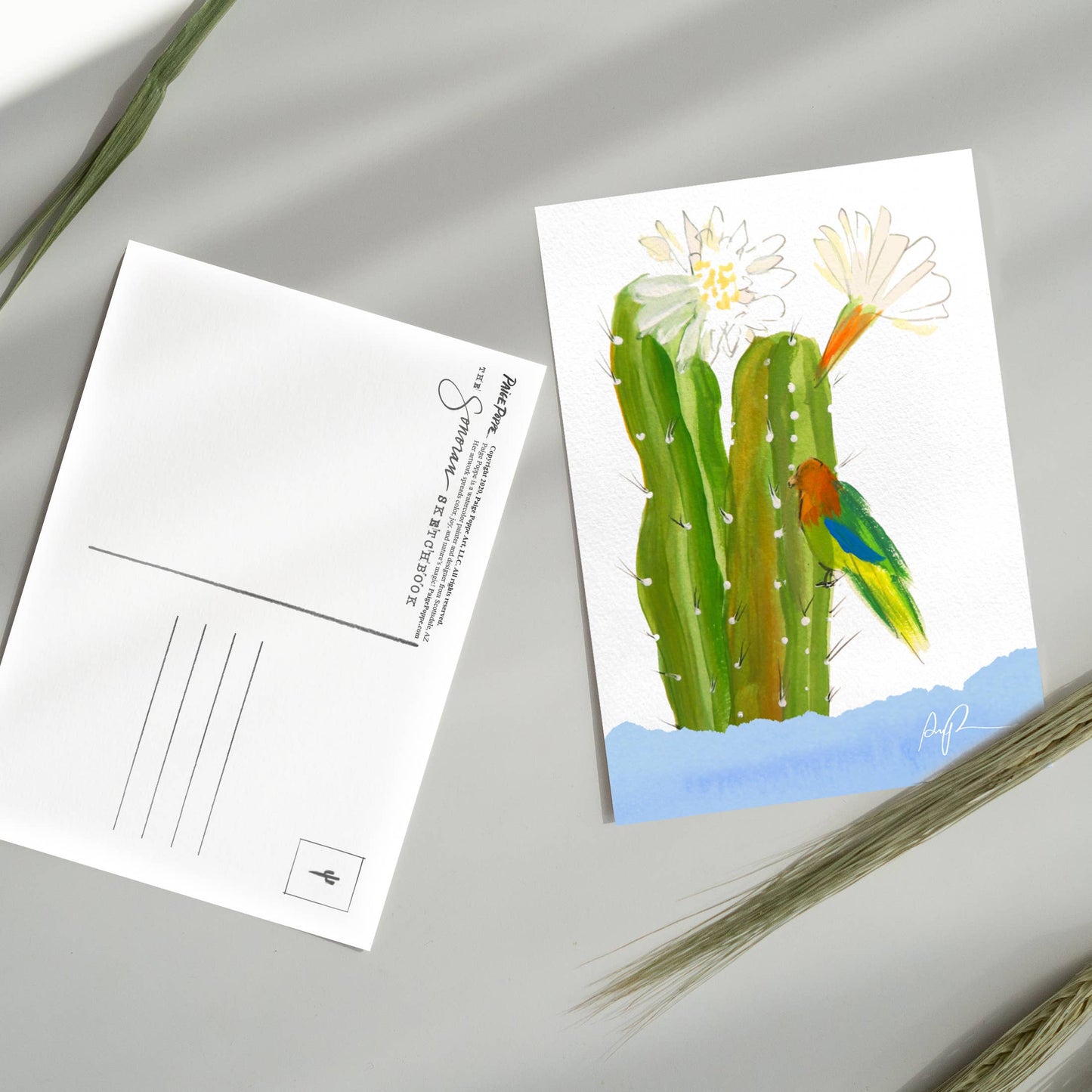 Lingering Lovebird Postcard